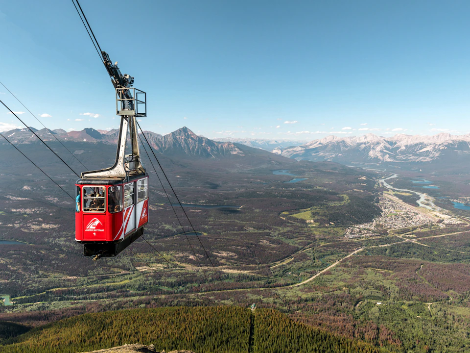 Looking down at Jasper