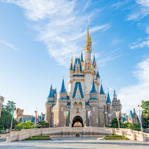Tokyo Disney Resort|Tokyo Disneyland 1-Day Passport - Photo 1