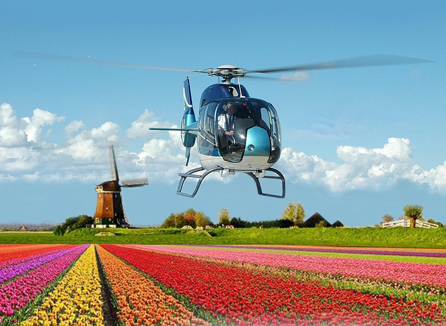 Un hélicoptère survolant des champs de tulipes colorés avec un moulin à vent traditionnel en arrière-plan sous un ciel bleu clair.
