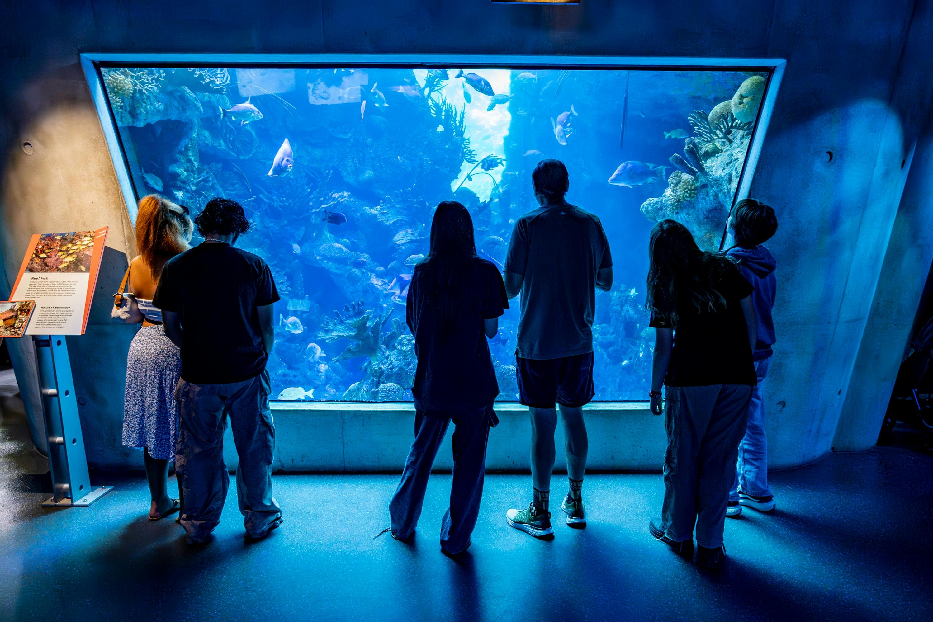 Des personnes se tiennent devant un grand aquarium et observent la faune marine dans un espace d'exposition faiblement éclairé.