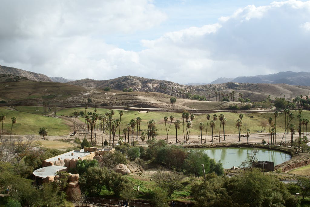 Bild des Safariparks