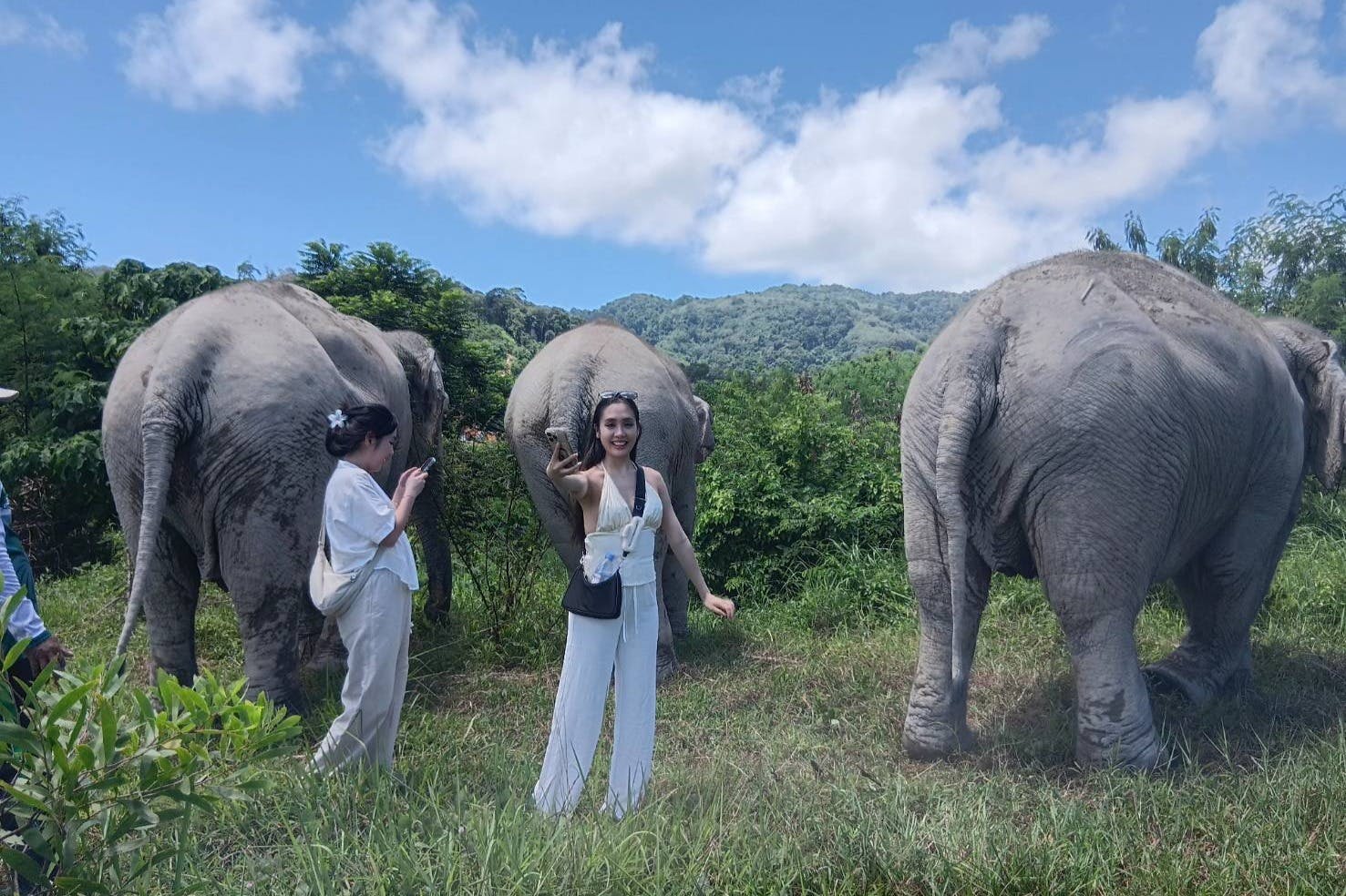 Две женщины стоят на природе с тремя слонами. Одна женщина фотографирует, а другая улыбается. На заднем плане холмы и небо.