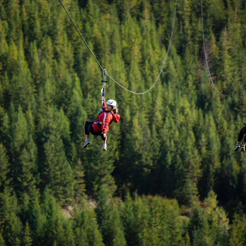 Whistler ZipTrek Ecotours: TreeTrek Adventure