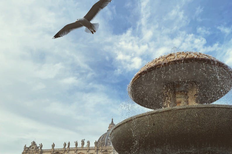 Città del Vaticano: Tour guidato dell'udienza papale — 3