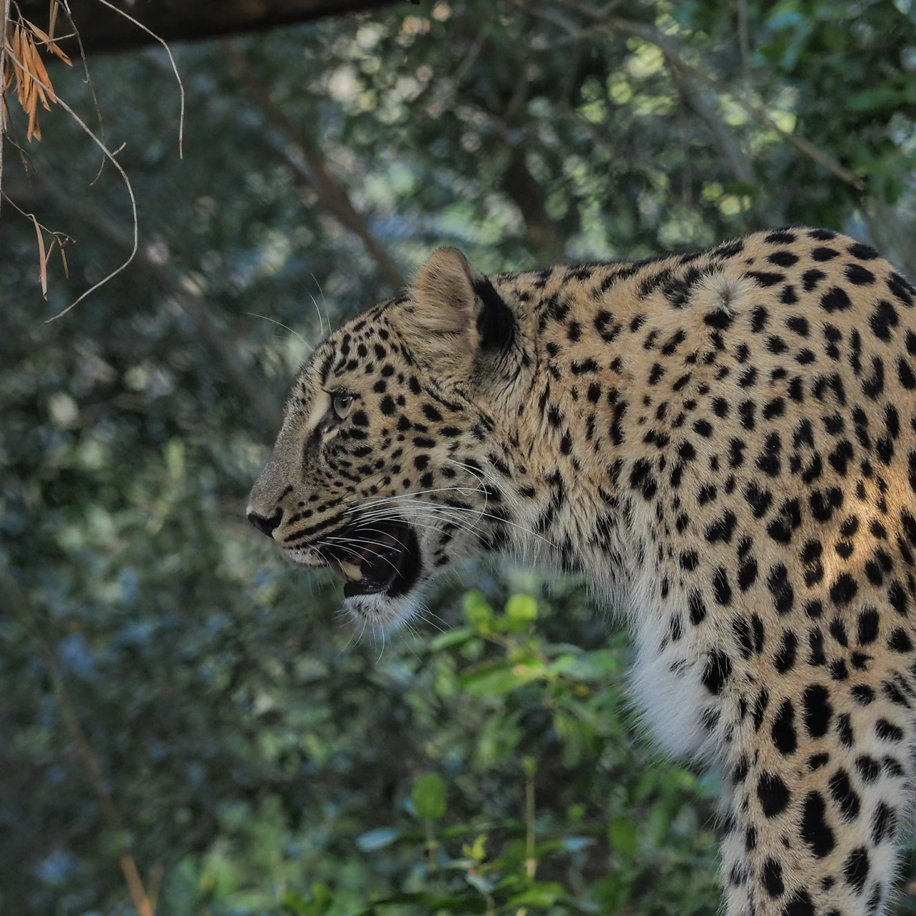 Lisbon Zoo: Fast Track Ticket in Lisbon β Tiqets