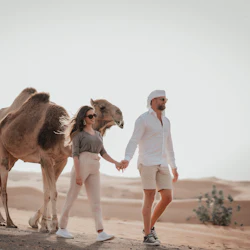 Dubai Morning Desert Safari: Camel Rides & Sandboarding