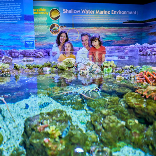 Aquário de Cairns: bilhete de entrada - Photo 3