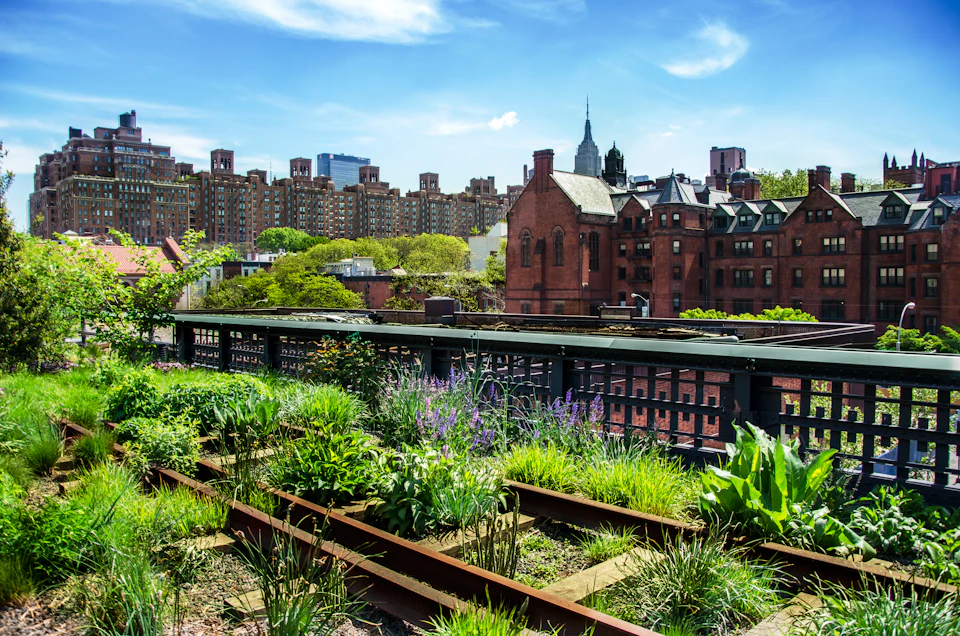 Urban garden with various green plants in the foreground, and a backdrop of brick buildings beneath a blue, cloudy sky.