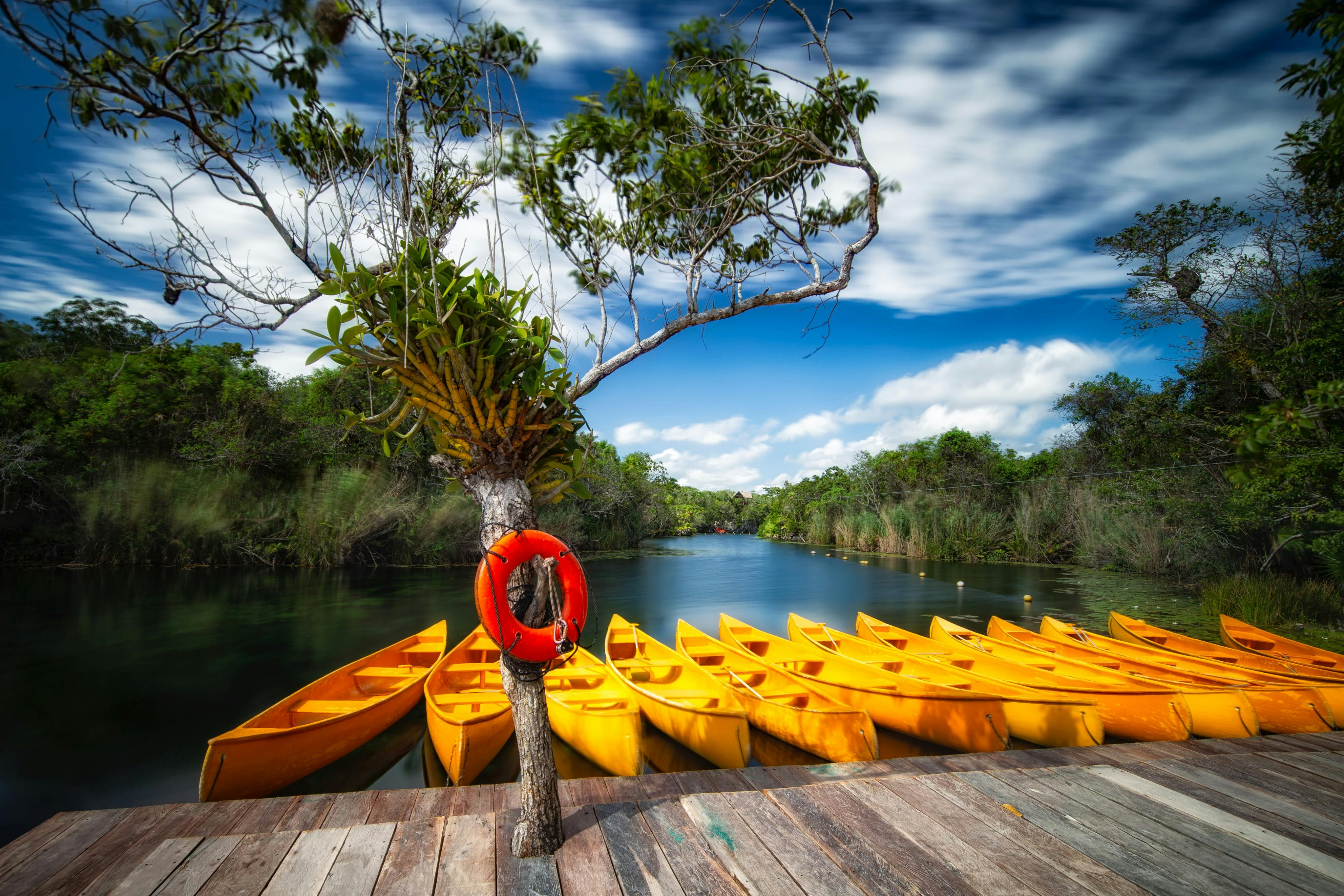 Kayaks et cenote
