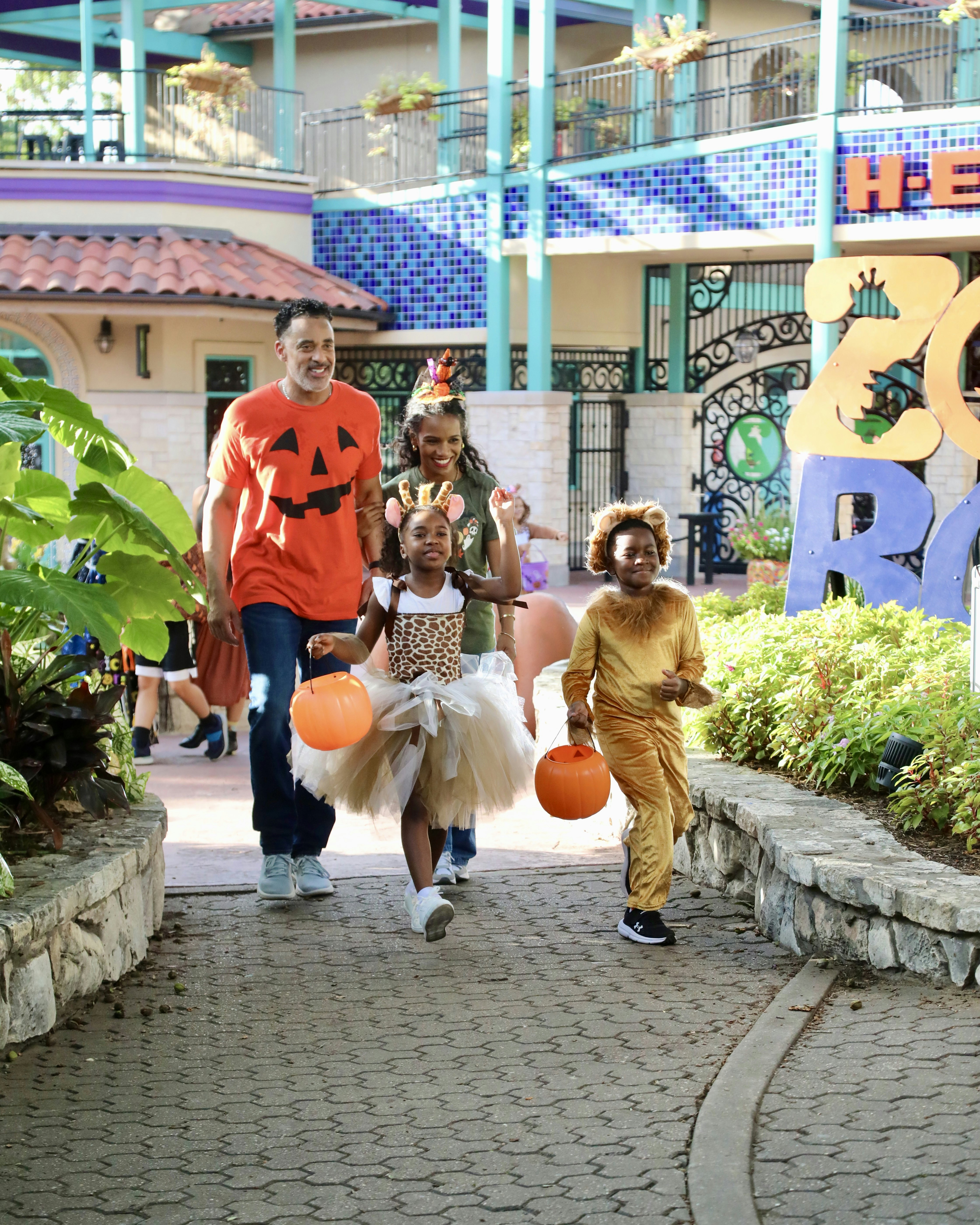 San Antonio Zoo Flexible Any-Day Entry Ticket