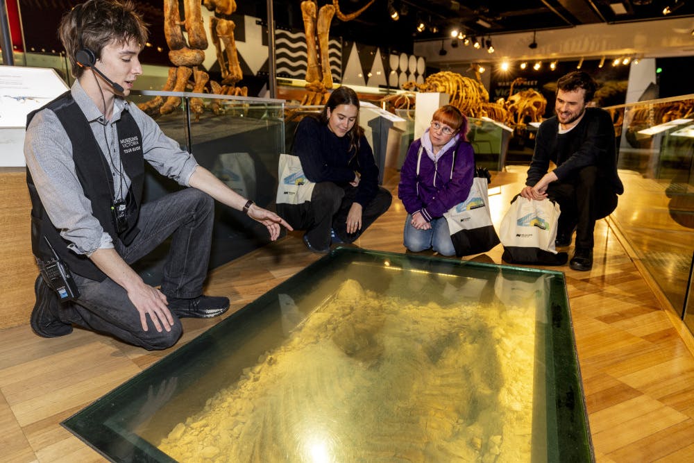 Un guia amb un auricular fa un gest cap a una exposició fòssil al terra, mentre dues persones s'agenollen i l'observen atentament.