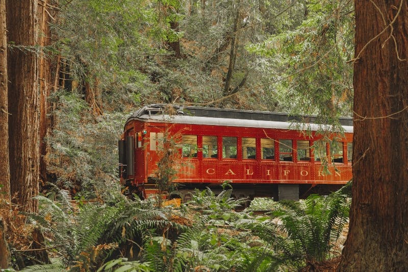 A red and black train car with "California" on the side, surrounded by lush green forest and tall trees.