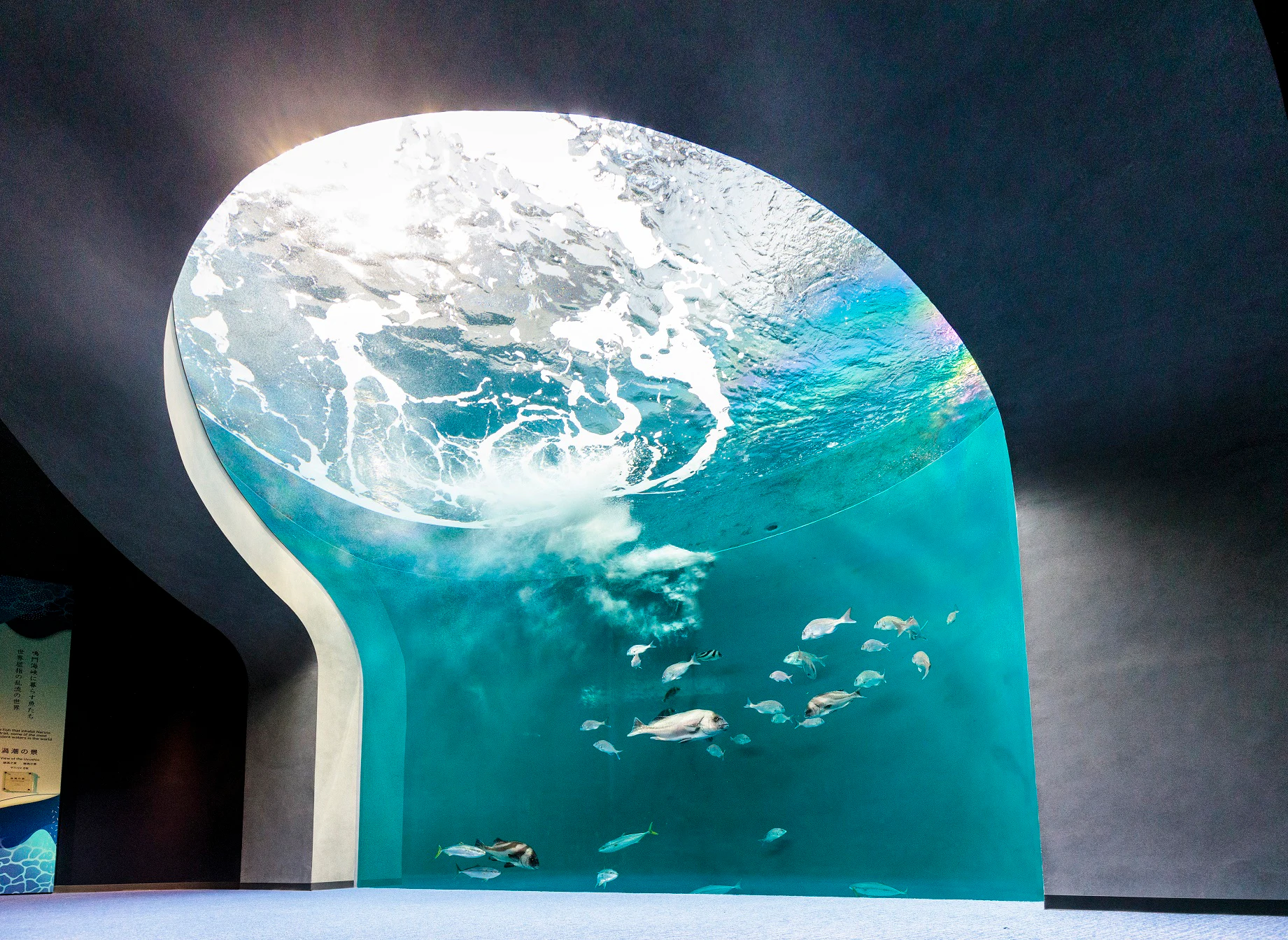 Shikoku Aquarium: Admission Ticket