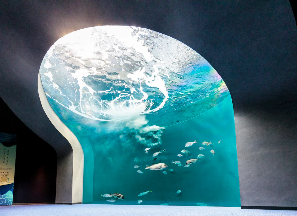 Fish swimming in a large aquarium with a curved glass window and a view of rippling water above.