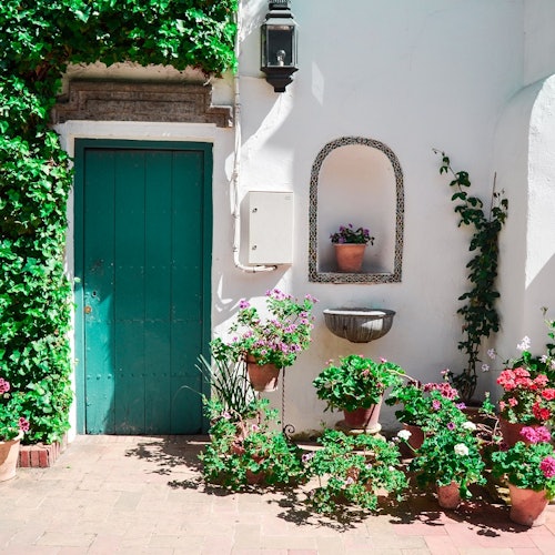 Viana Patios & Palace: Guided Tour Viana Patios & Palace: Guided Tour