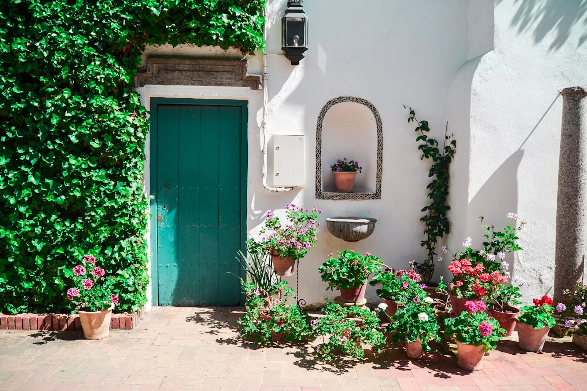 A turquoise door surrounded by ivy, with various potted plants in a courtyard against a white wall featuring a niche.