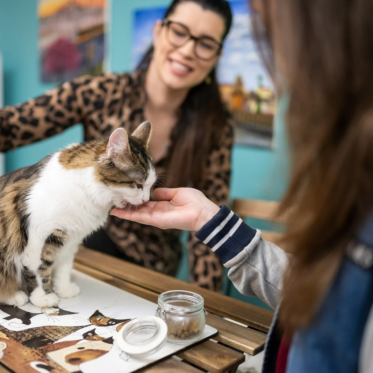 Cat Museum Budapest: Entry Ticket + Audio Guide in Budapest β Tiqets
