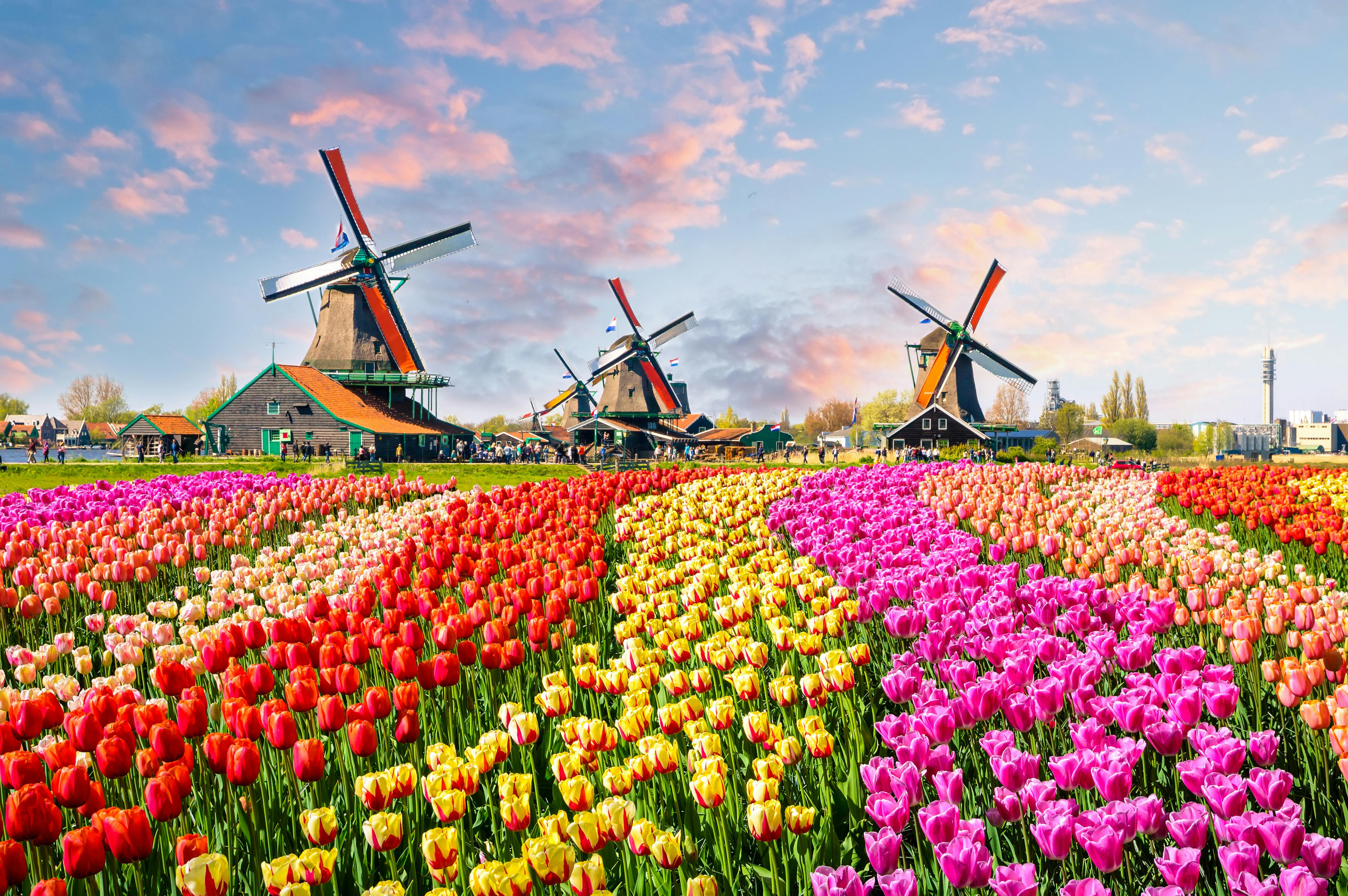 最新コレックション オランダの風景 アムステルダム国立美術館購入