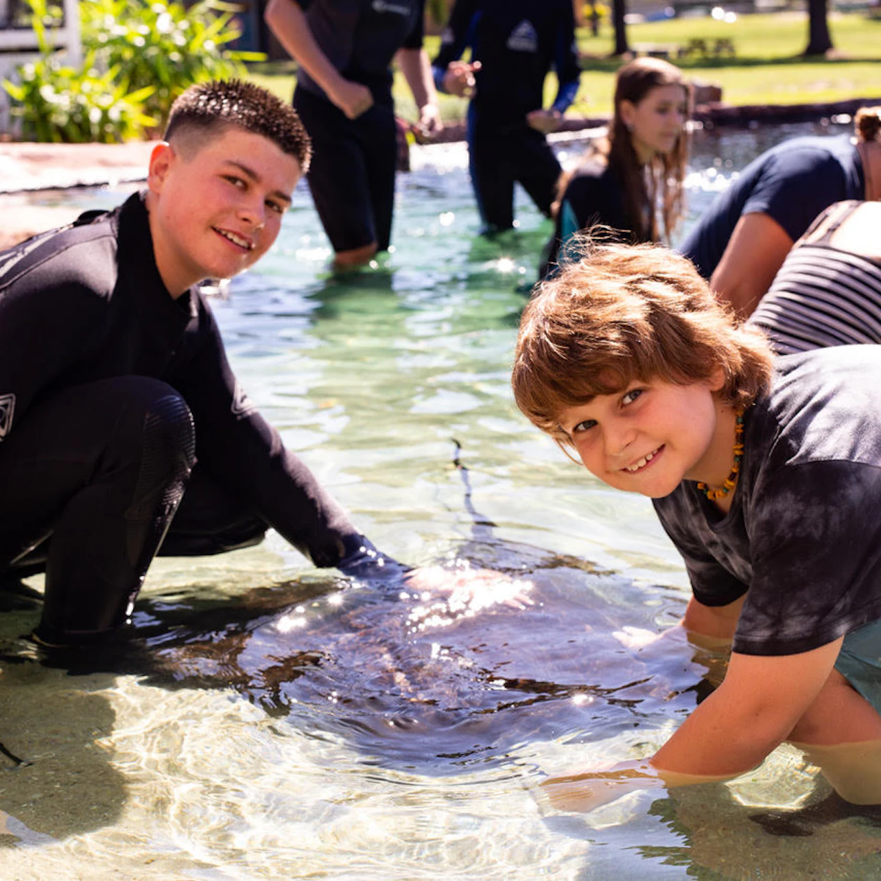 Irukandji Shark & Ray Encounters in Anna Bay β Tiqets