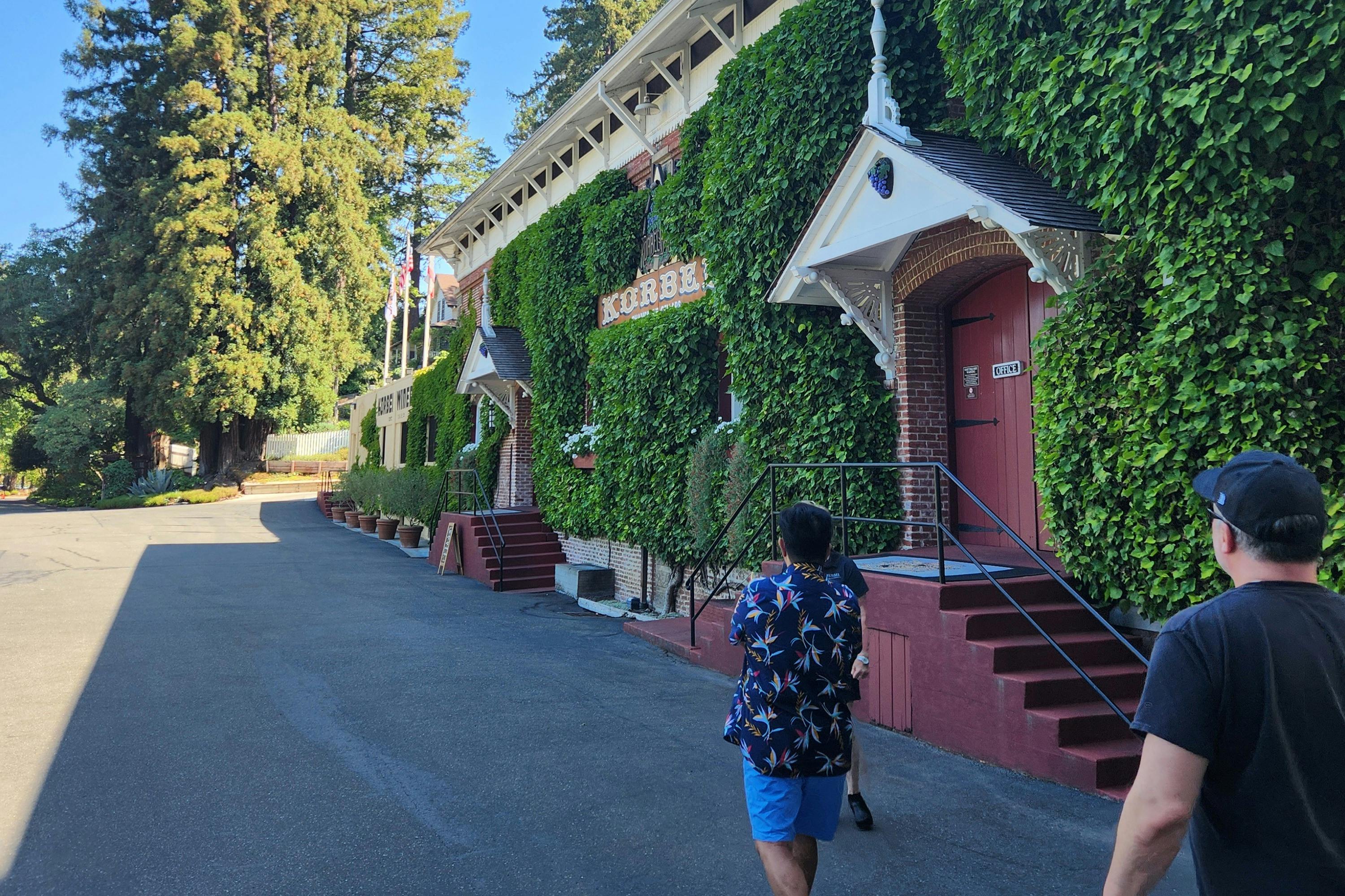 Ολοήμερη Περιήγηση στο Wine & Woods