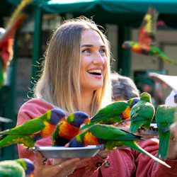 Currumbin Wildlife Sanctuary: Entry Ticket in destination