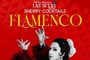 Flamenco in Seville - Best Shows