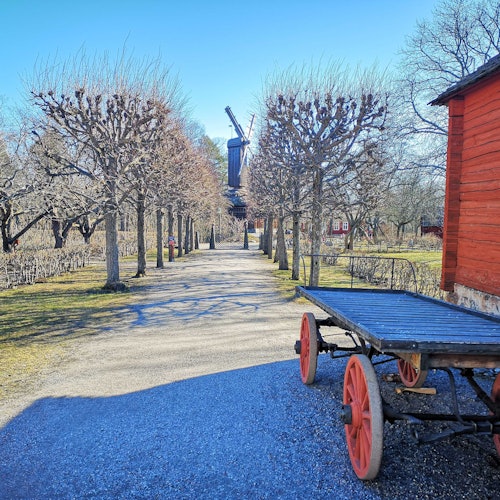 Skansen: Museo al aire libre y zoológico nórdico
