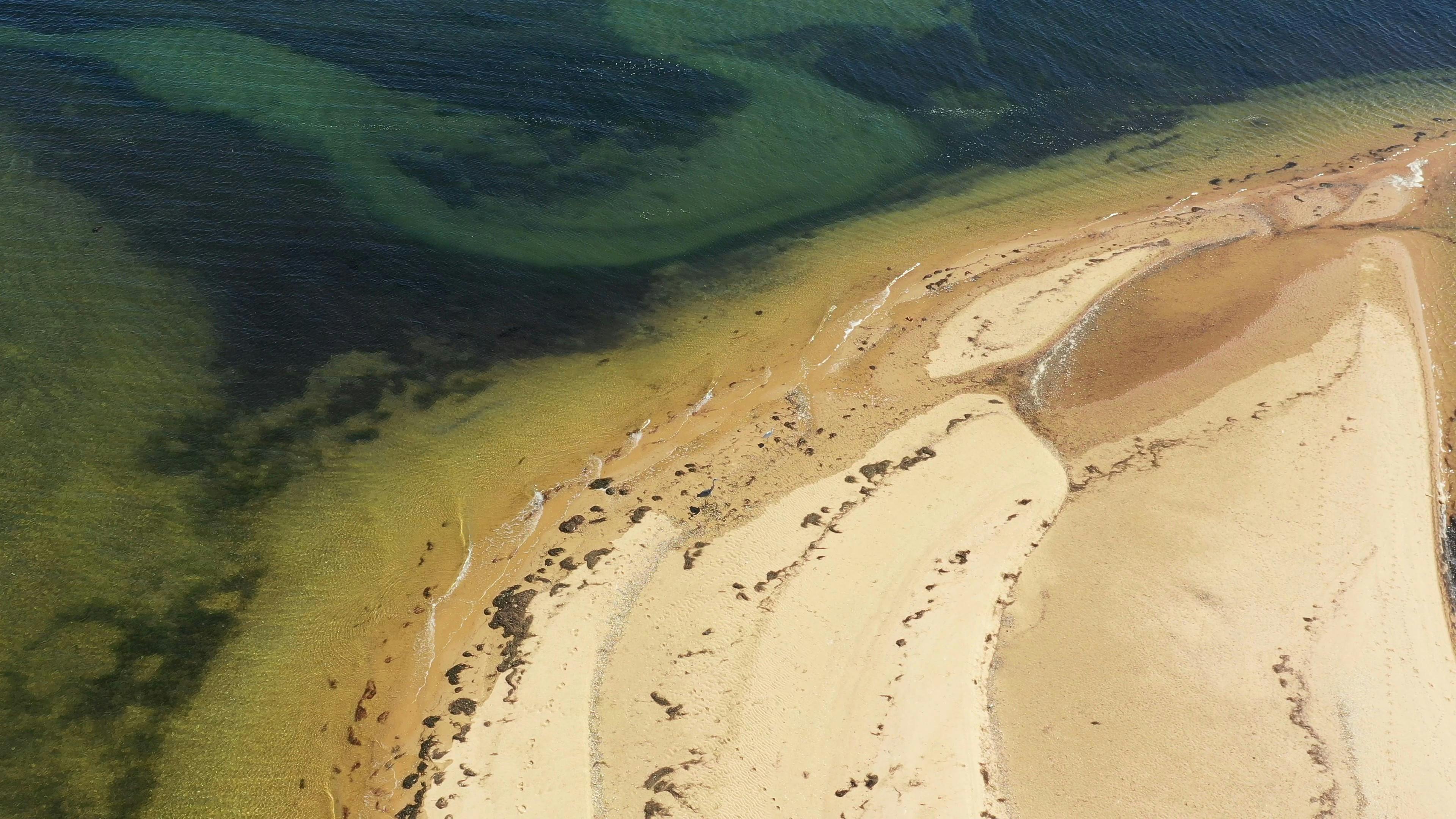 Εναέρια άποψη αμμώδους παραλίας με μπαλώματα φυκιών κοντά στην ακτογραμμή και σκούρα πράσινα νερά.