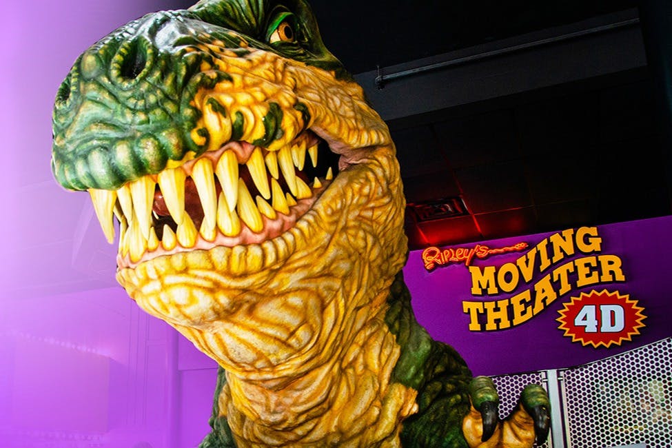 San Antonio Ripley's Believe It or Not!: Entry Ticket