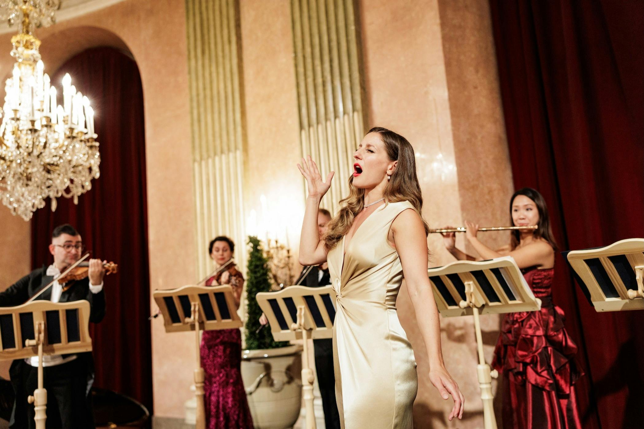Palais Auersperg: Concerto di Gala Imperiale + Cena — 7