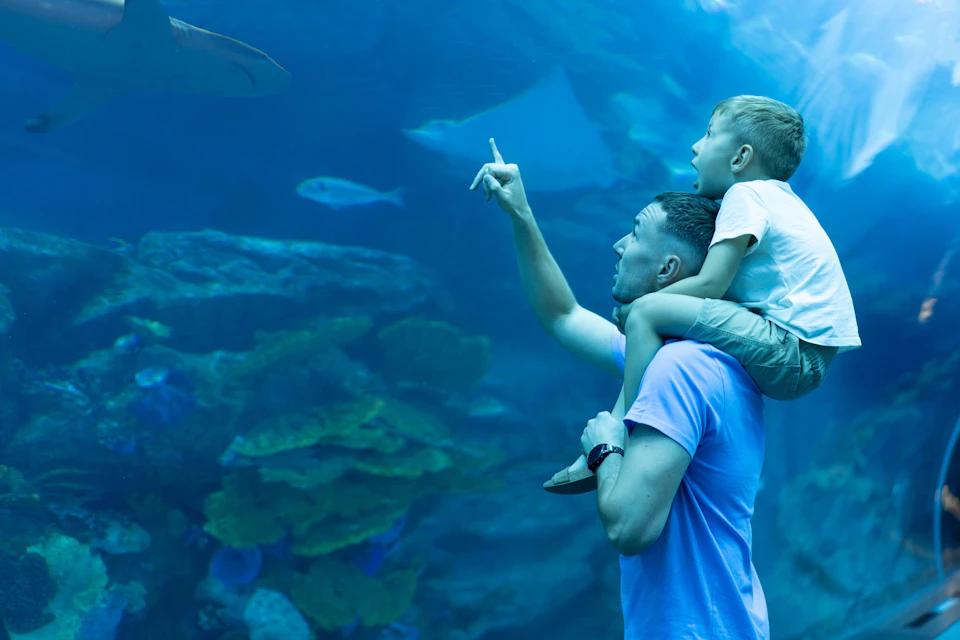 Dubai Aquarium World