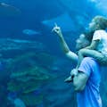 Аквариум Dubai Aquarium World