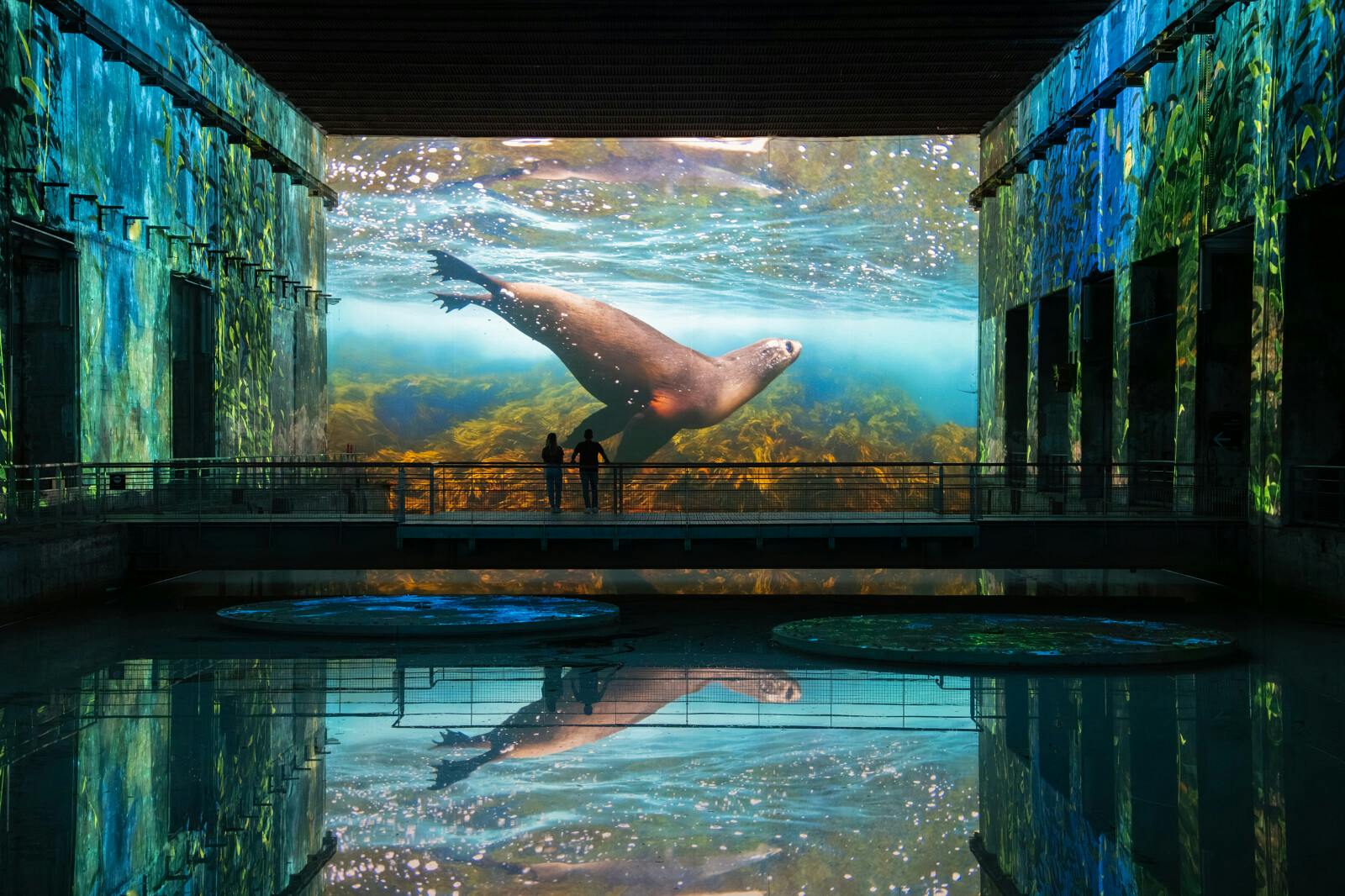 Bacias hidrográficas de Lumières: Exposição sobre o Oceano - Photo 3