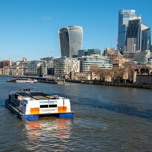 London: 24-Hour Hop-on Hop-off City Cruise