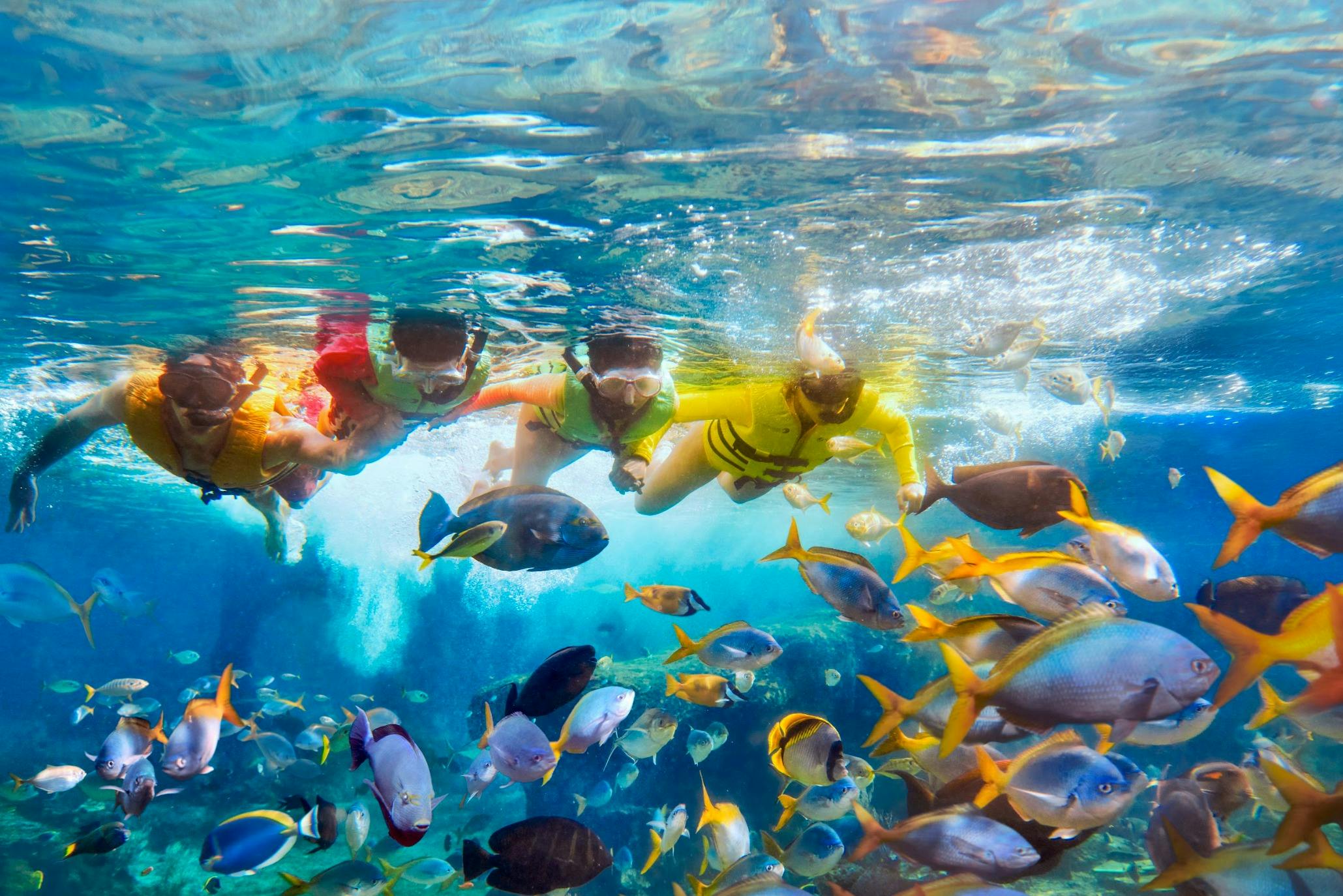 Drei Personen beim Schnorcheln im klaren blauen Wasser, umgeben von bunten tropischen Fischen.