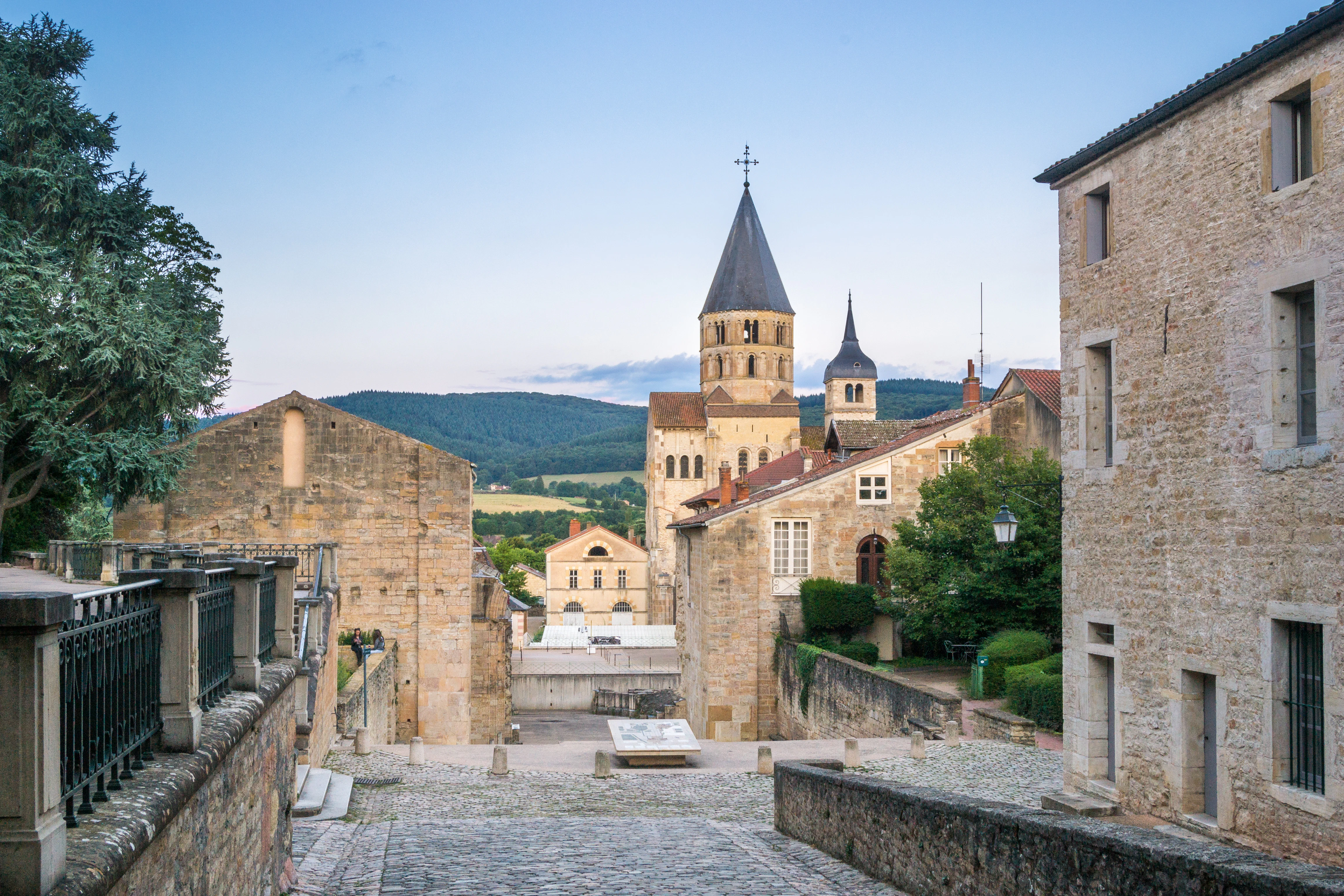 Cluny Abbey & Museum: Entry Ticket + Royal Monastery of Brou: Entry Ticket