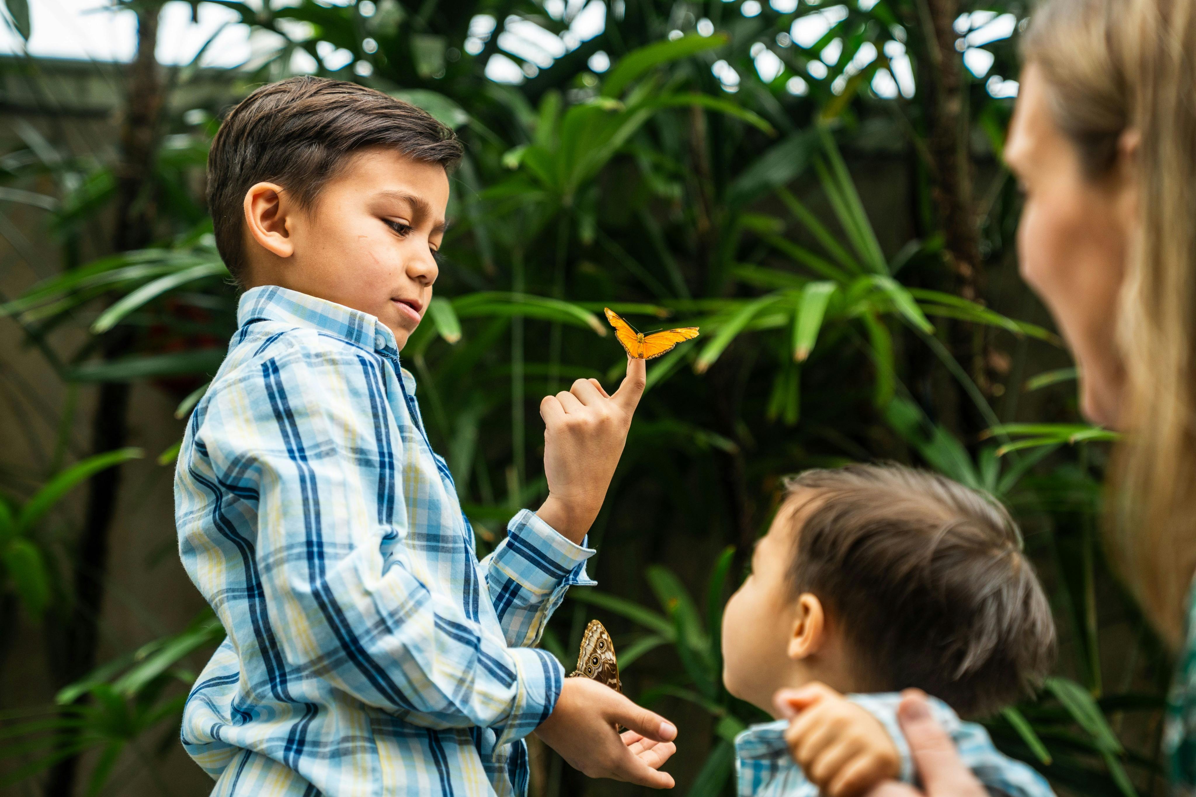 무성한 녹색 환경에서 야외에서 나비를 관찰하는 격자 무늬 셔츠를 입은 두 어린이.