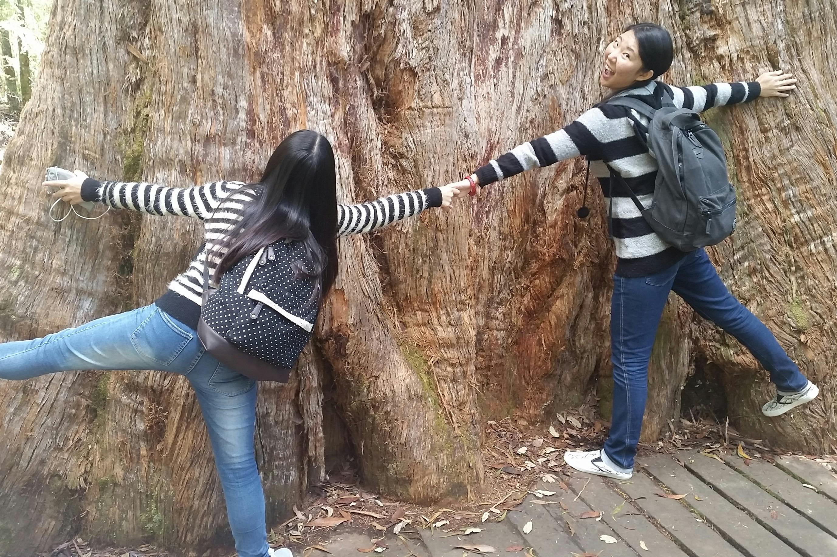 Two people with backpacks wearing striped sweaters holding hands while standing in front of a large tree trunk.