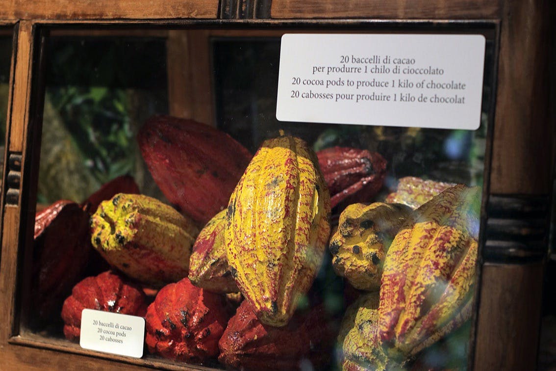 テキストは翻訳されません。