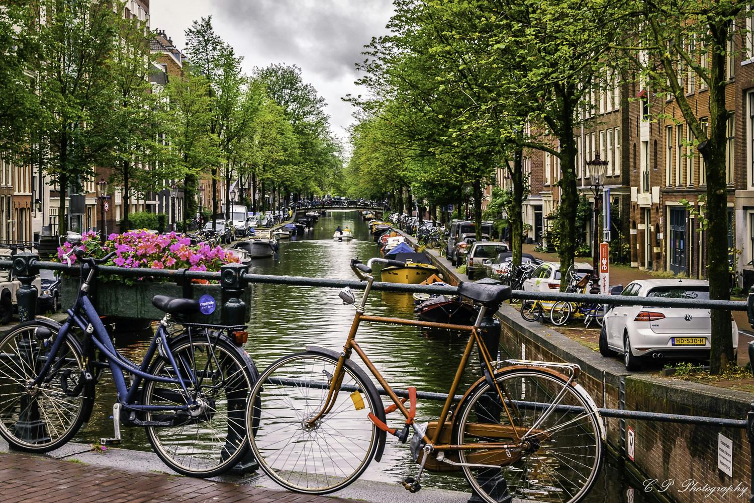 다리 위에서 꽃으로 장식된 자전거를 타면 보트와 나무가 늘어선 고요한 운하가 내려다보이며, 양쪽에 자동차와 건물이 있습니다.