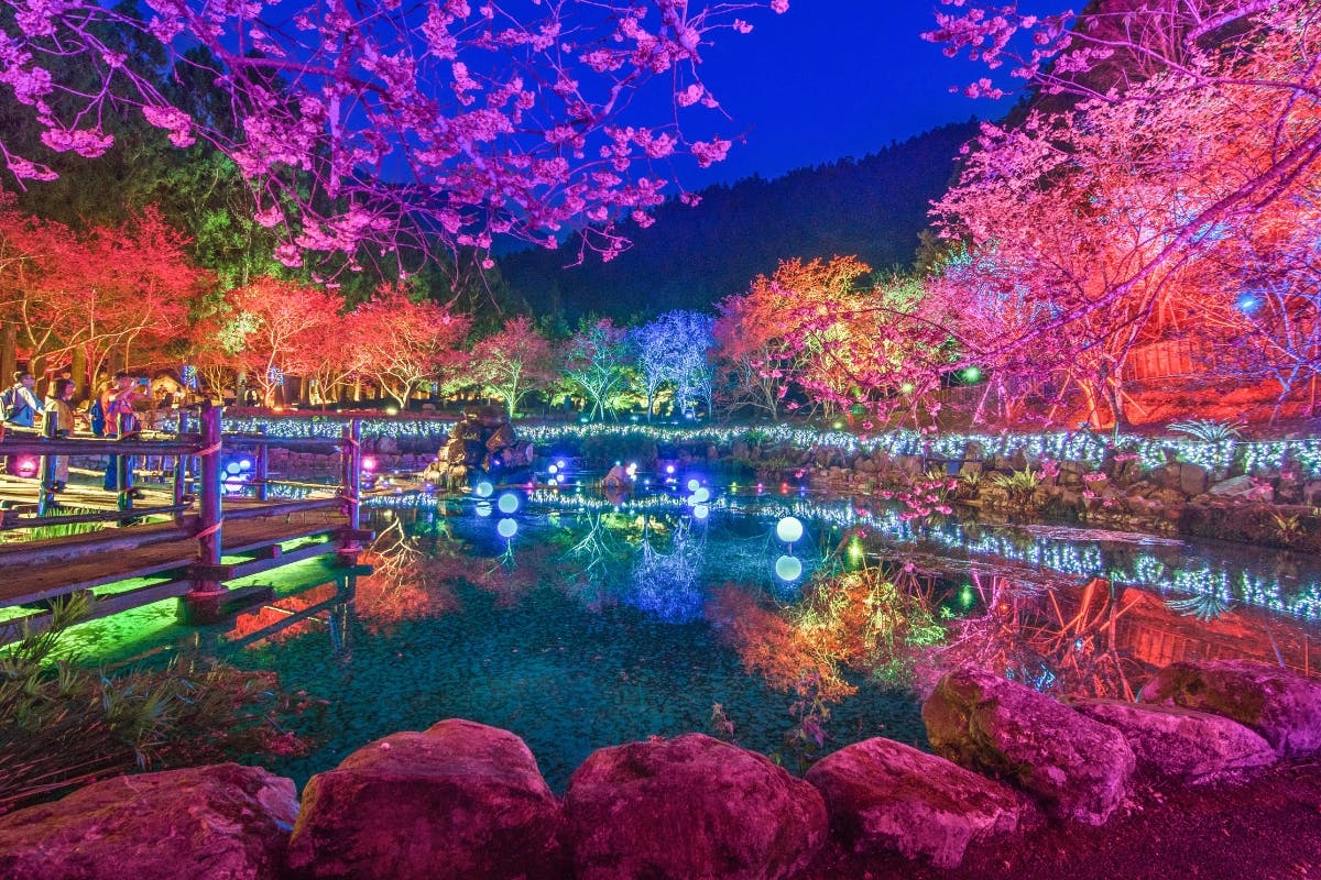 A vibrant garden at night with illuminated trees, a calm pond, and decorative lights creating a colorful reflection.