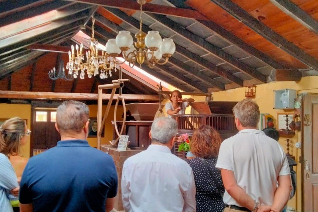 Průvodce vysvětlující provoz mlýna skupině lidí