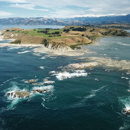 Kaikoura: excursão guiada para pequenos grupos saindo de Christchurch + almoço - Photo 6