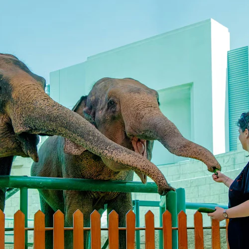 Emirates Park Zoo: Entry Ticket - Photo 8