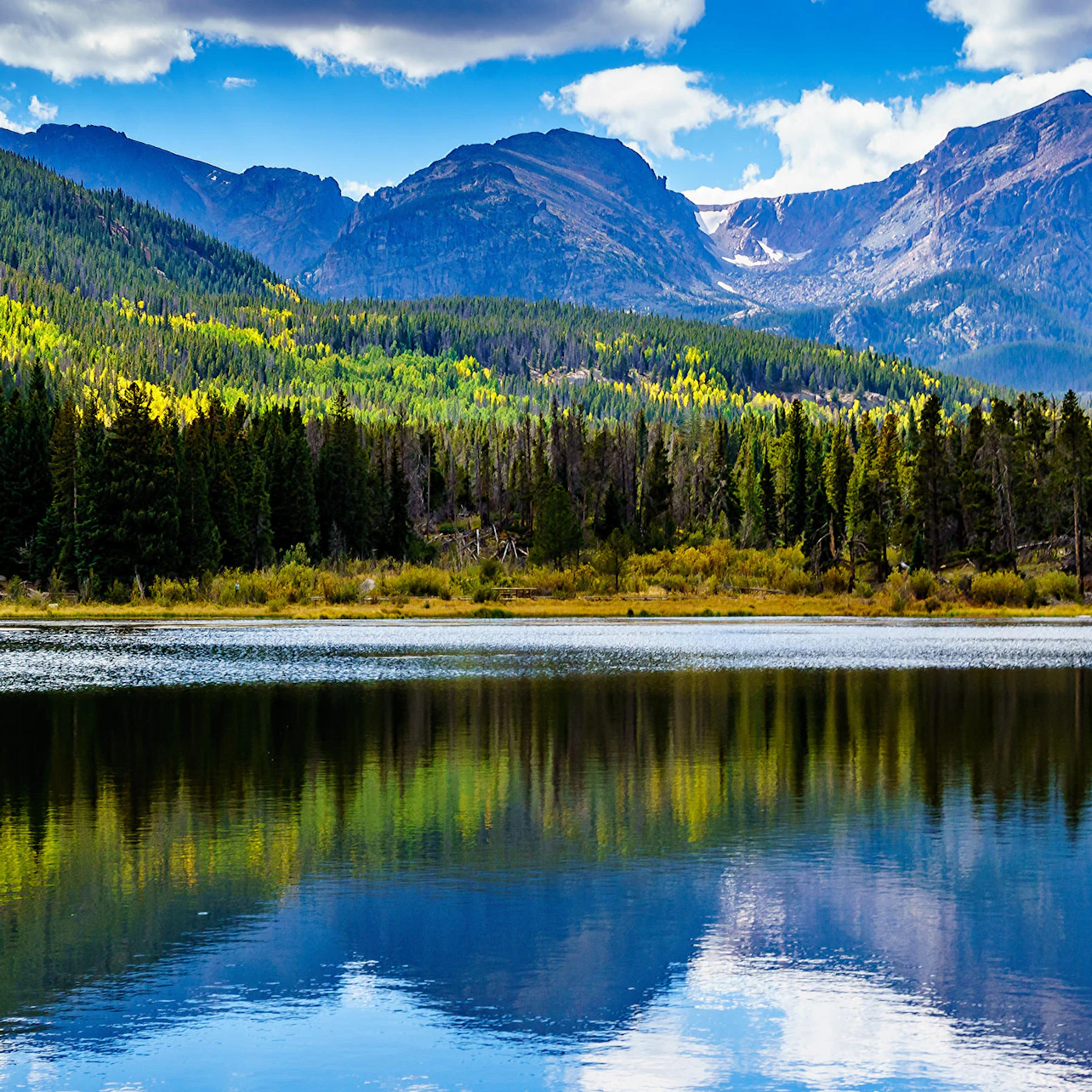 Slider Image