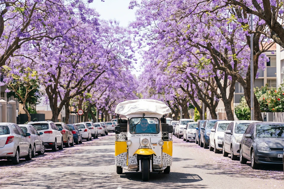 A yellow tuk-tuk driving down a street lined with jacaranda trees in full bloom, with parked cars on both sides.