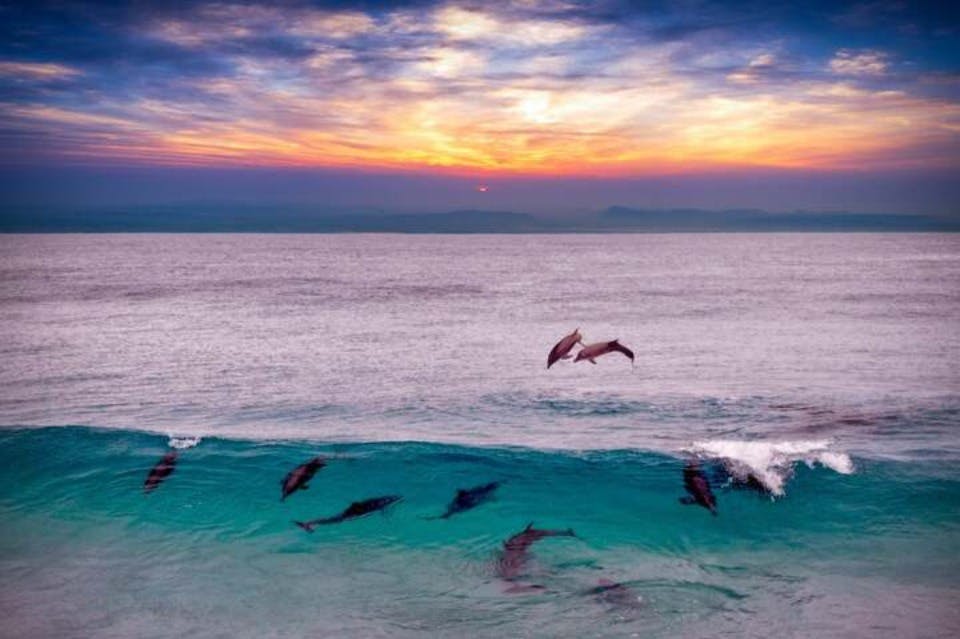 Excursiones de varios días desde Marsa Alam