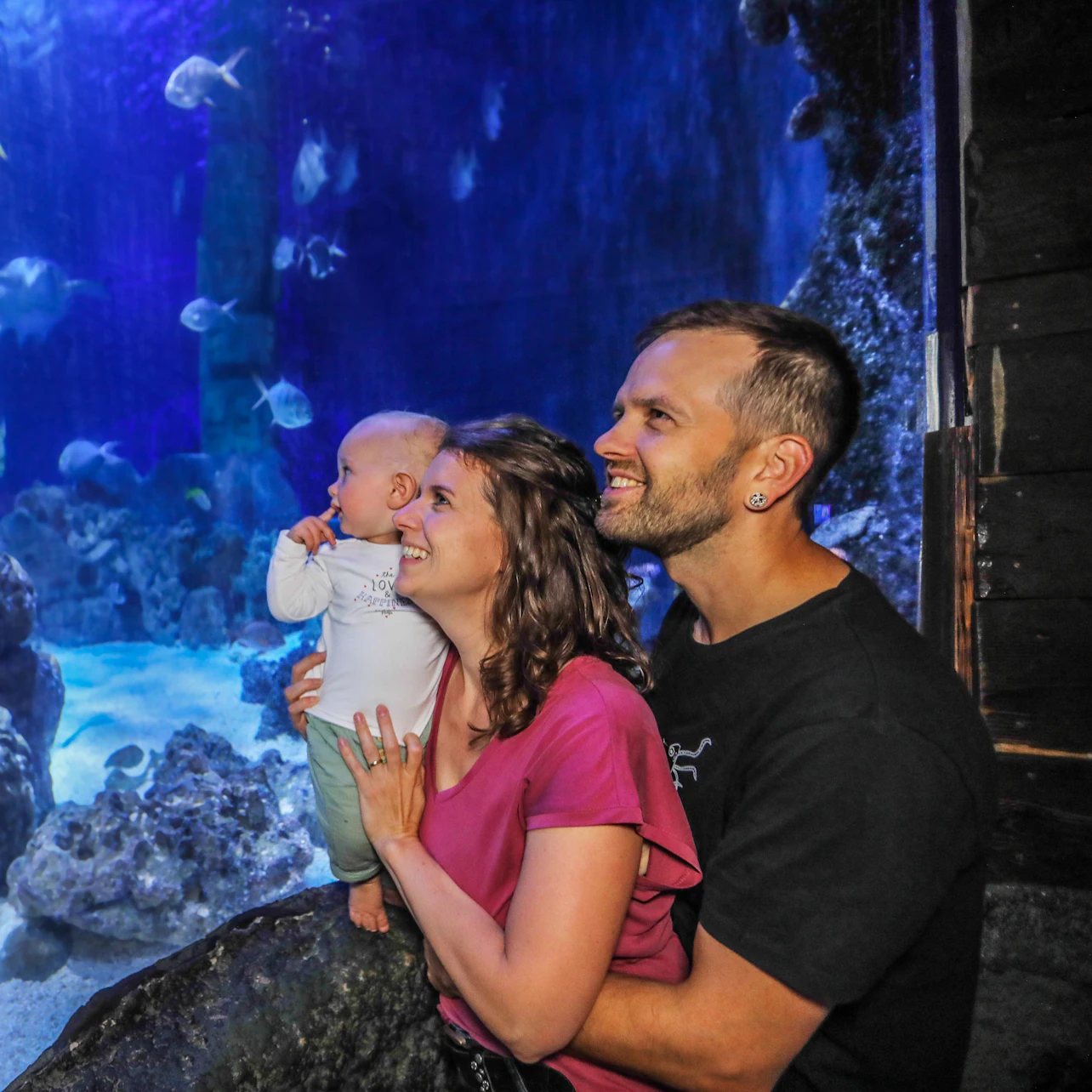 SEA LIFE Hannover: Entry Ticket 5