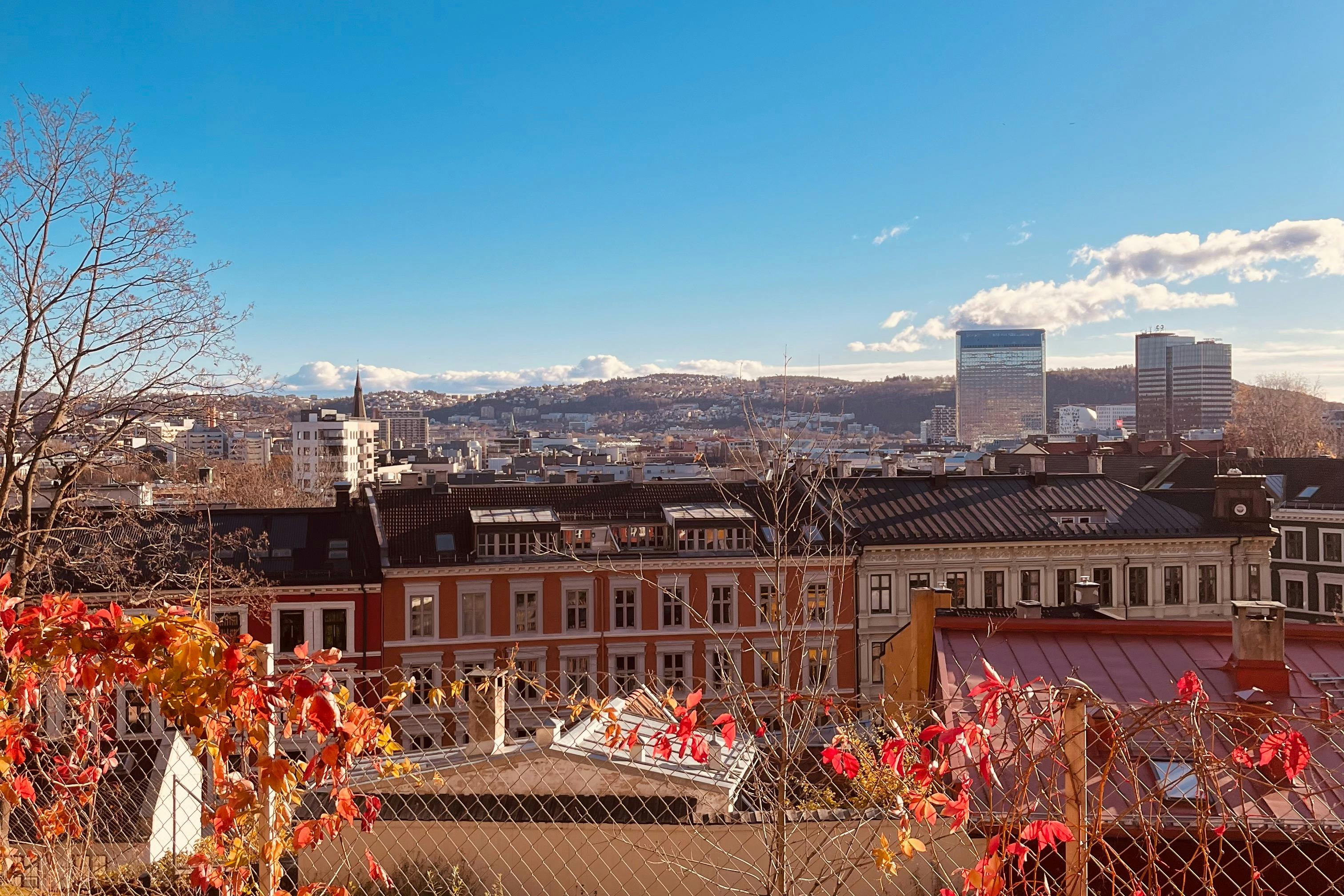 A cityscape featuring colorful buildings, distant mountains, and a clear blue sky, with autumn foliage in the foreground.