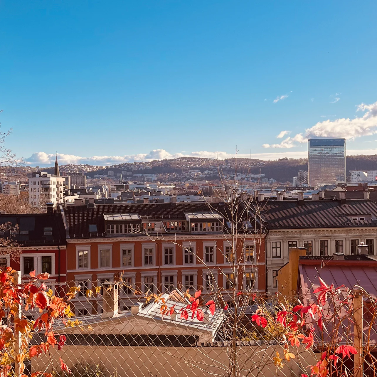 Oslo: Guided Walking Tour + Lunch + Tram Ticket in Oslo – Tiqets